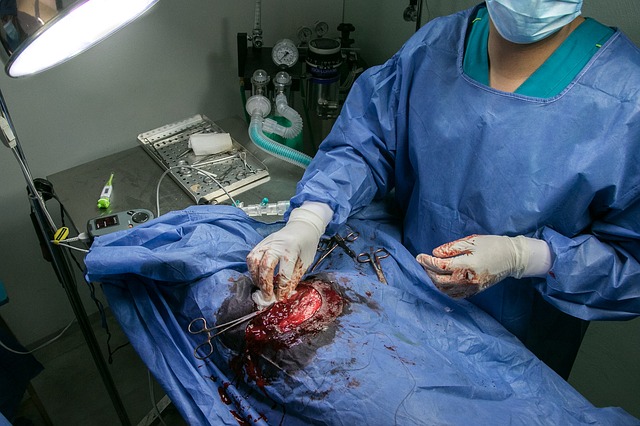 veterinář u operace
