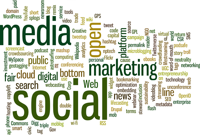 Sociální média jako nástroj k podnikání.png